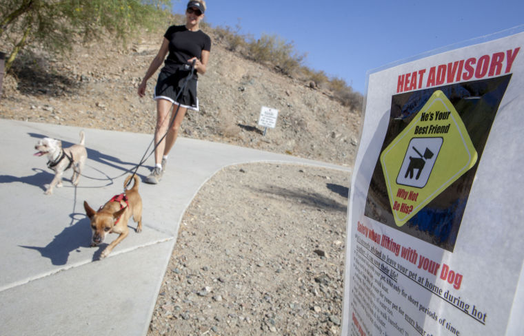 Dog Hike